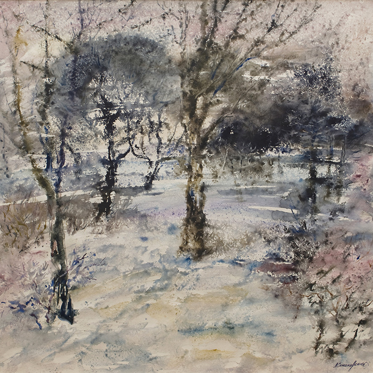 СВЕТЛАЯ СТОРОНА ЗЕМЛИ