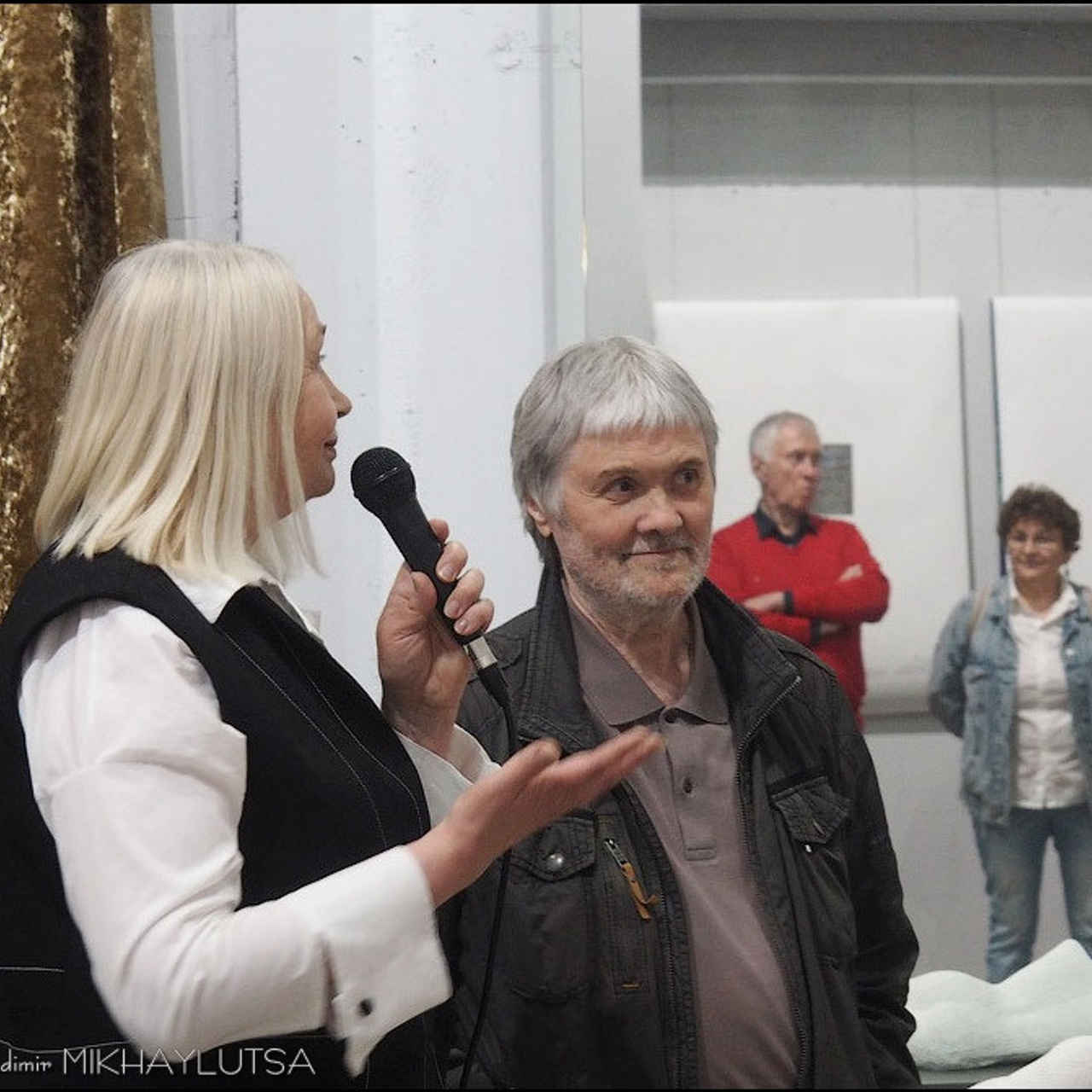 Вячеслав Михайлов «Не подражая природе»