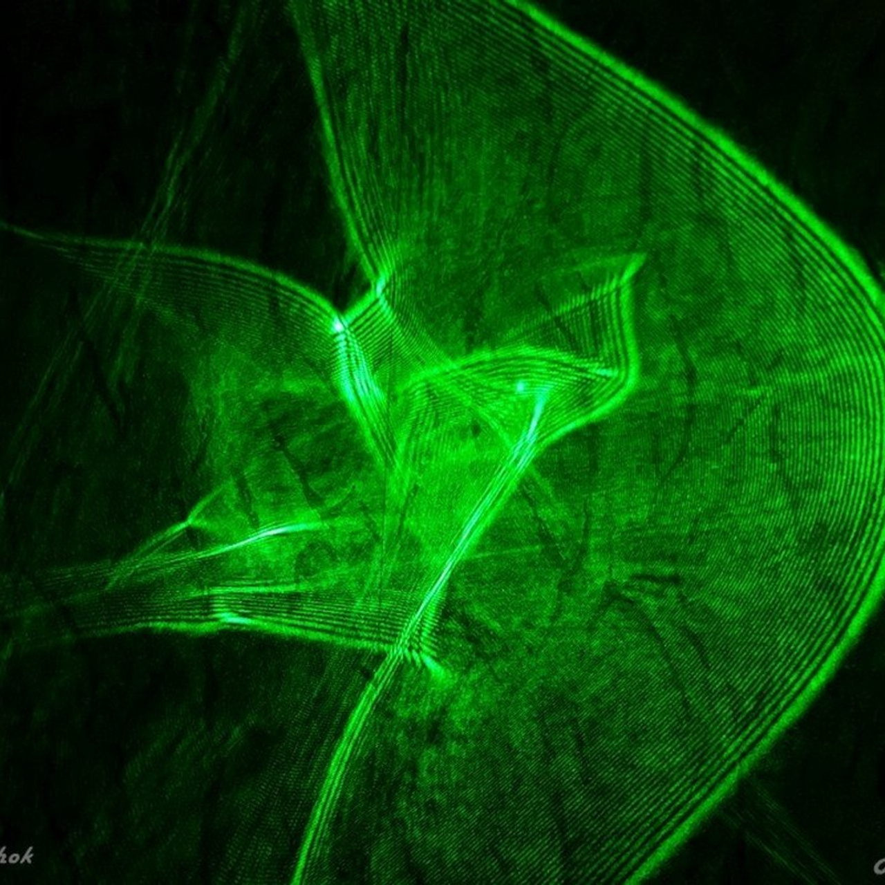 Алексей Казачок