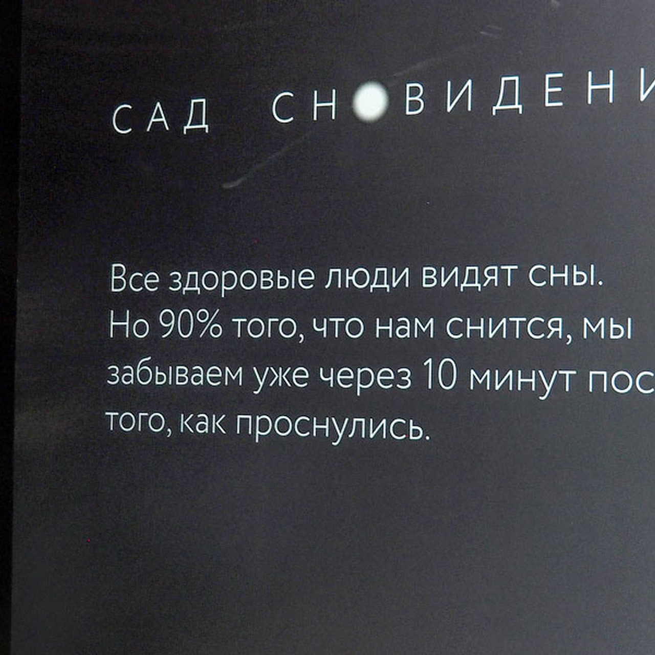 САД СНОВИДЕНИЙ - Люминография - luminografia.ru