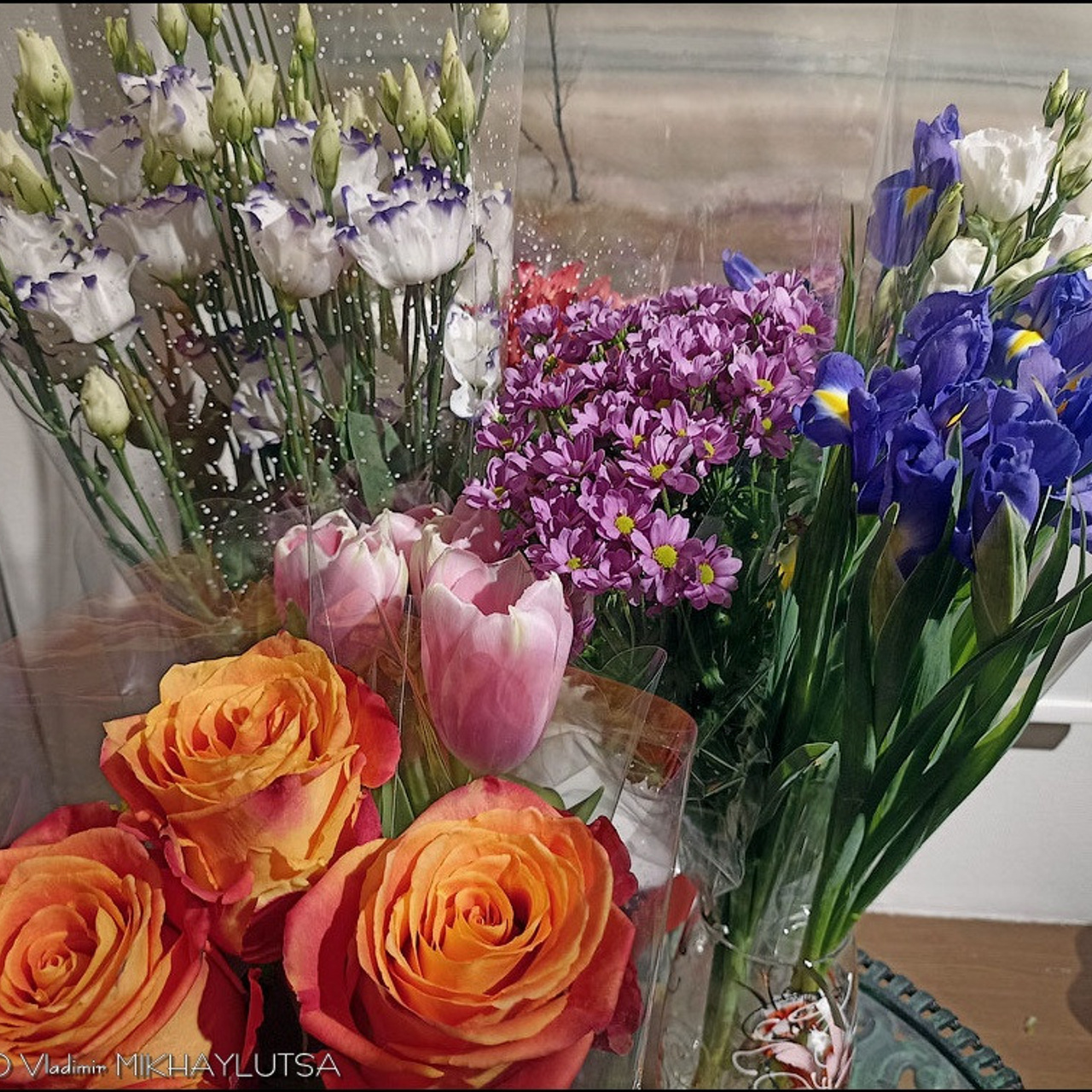 СВЕТЛАЯ СТОРОНА ЗЕМЛИ