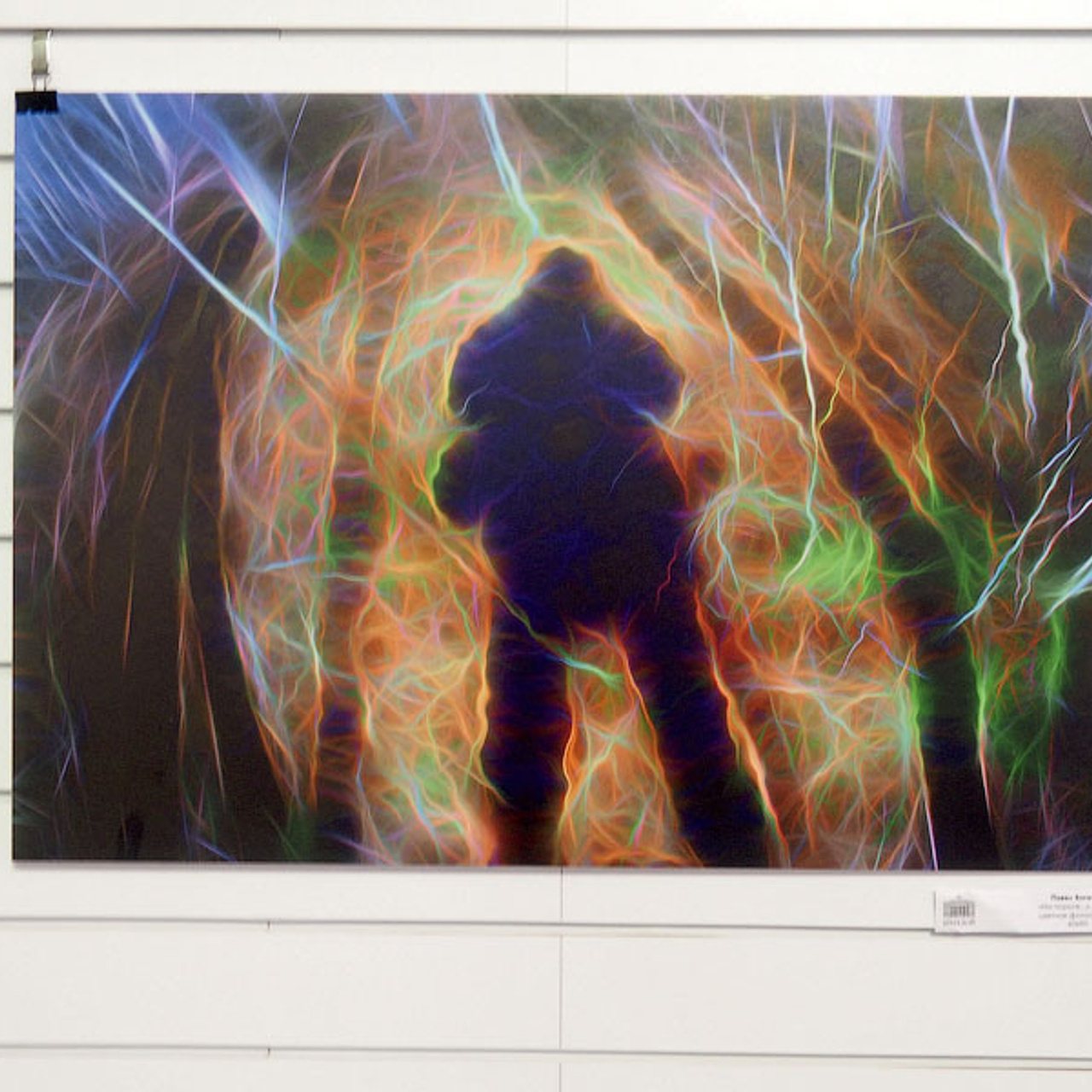 Павел Богачев