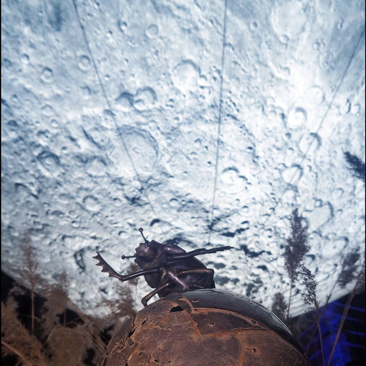 САД СНОВИДЕНИЙ - Люминография - luminografia.ru