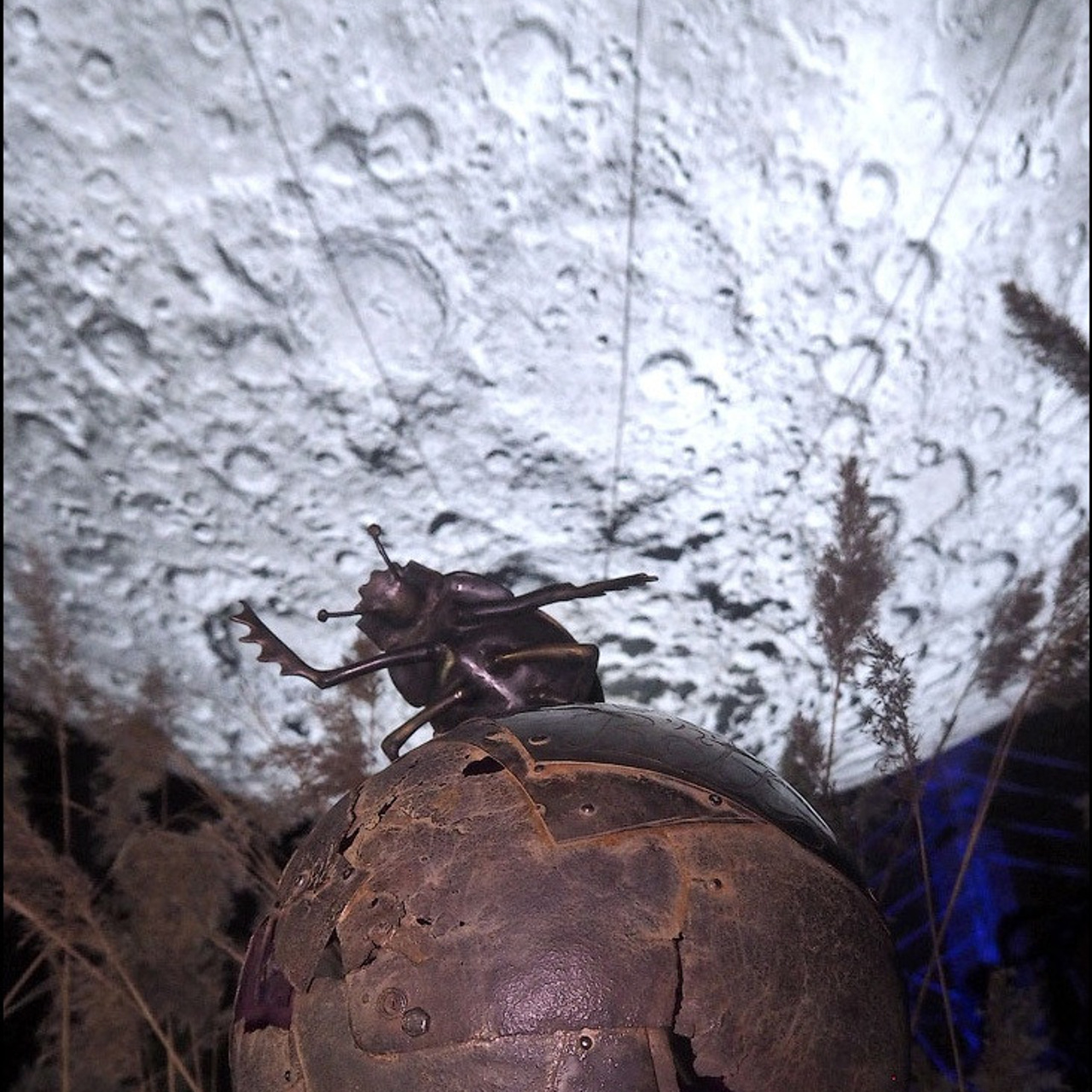 САД СНОВИДЕНИЙ - Люминография - luminografia.ru