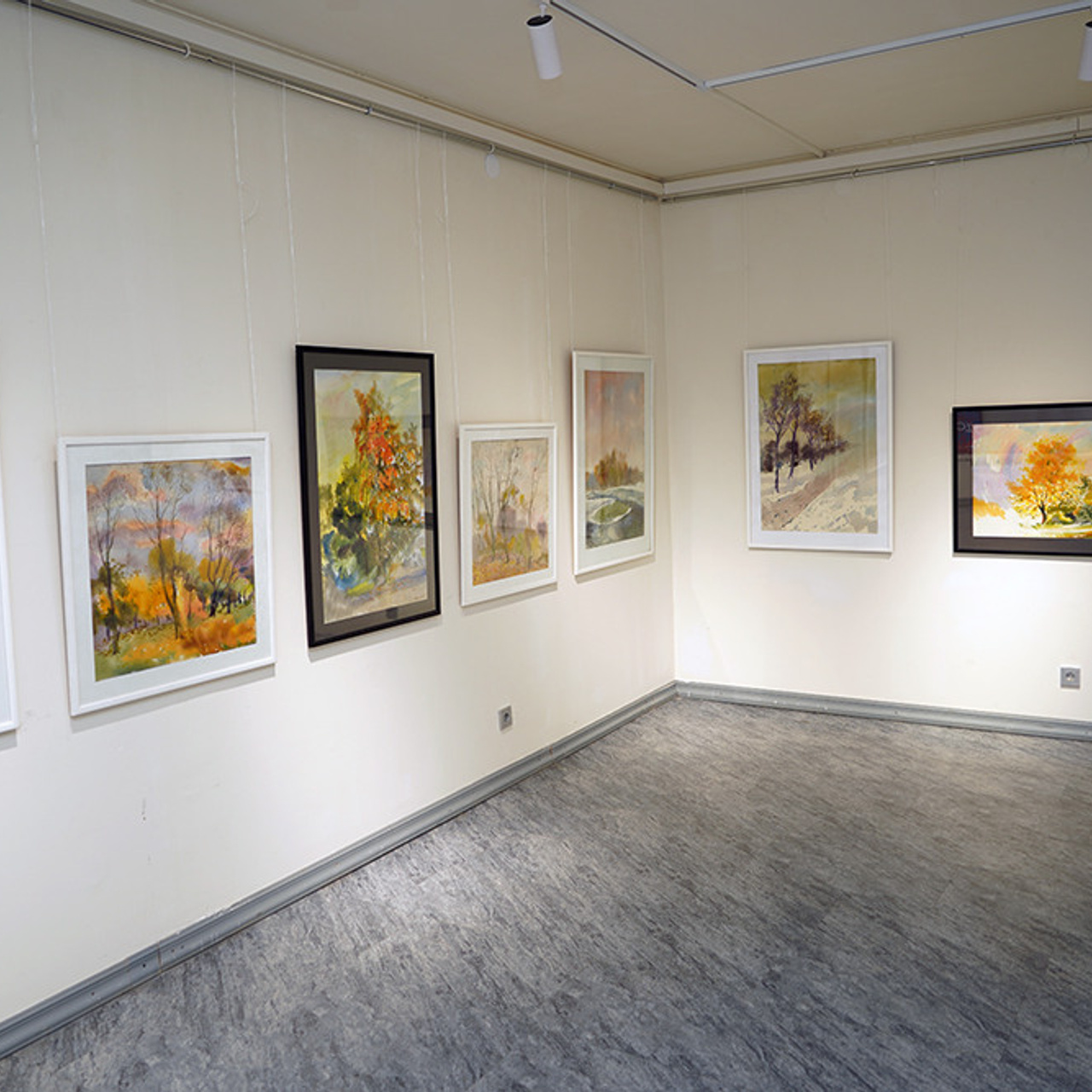 СВЕТЛАЯ СТОРОНА ЗЕМЛИ