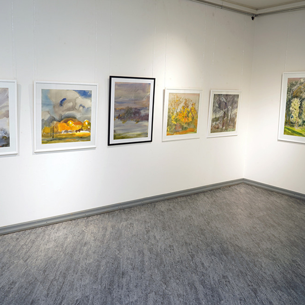 СВЕТЛАЯ СТОРОНА ЗЕМЛИ