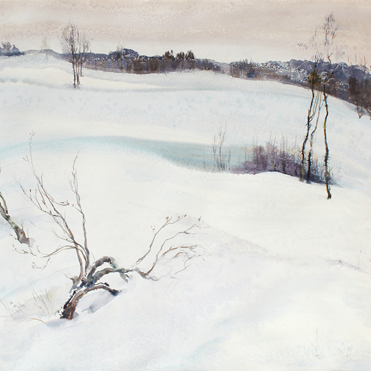 СВЕТЛАЯ СТОРОНА ЗЕМЛИ