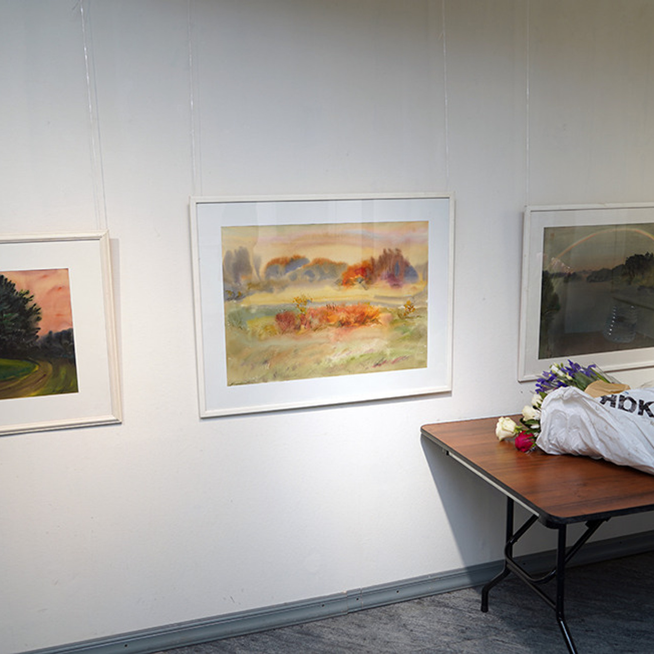 СВЕТЛАЯ СТОРОНА ЗЕМЛИ