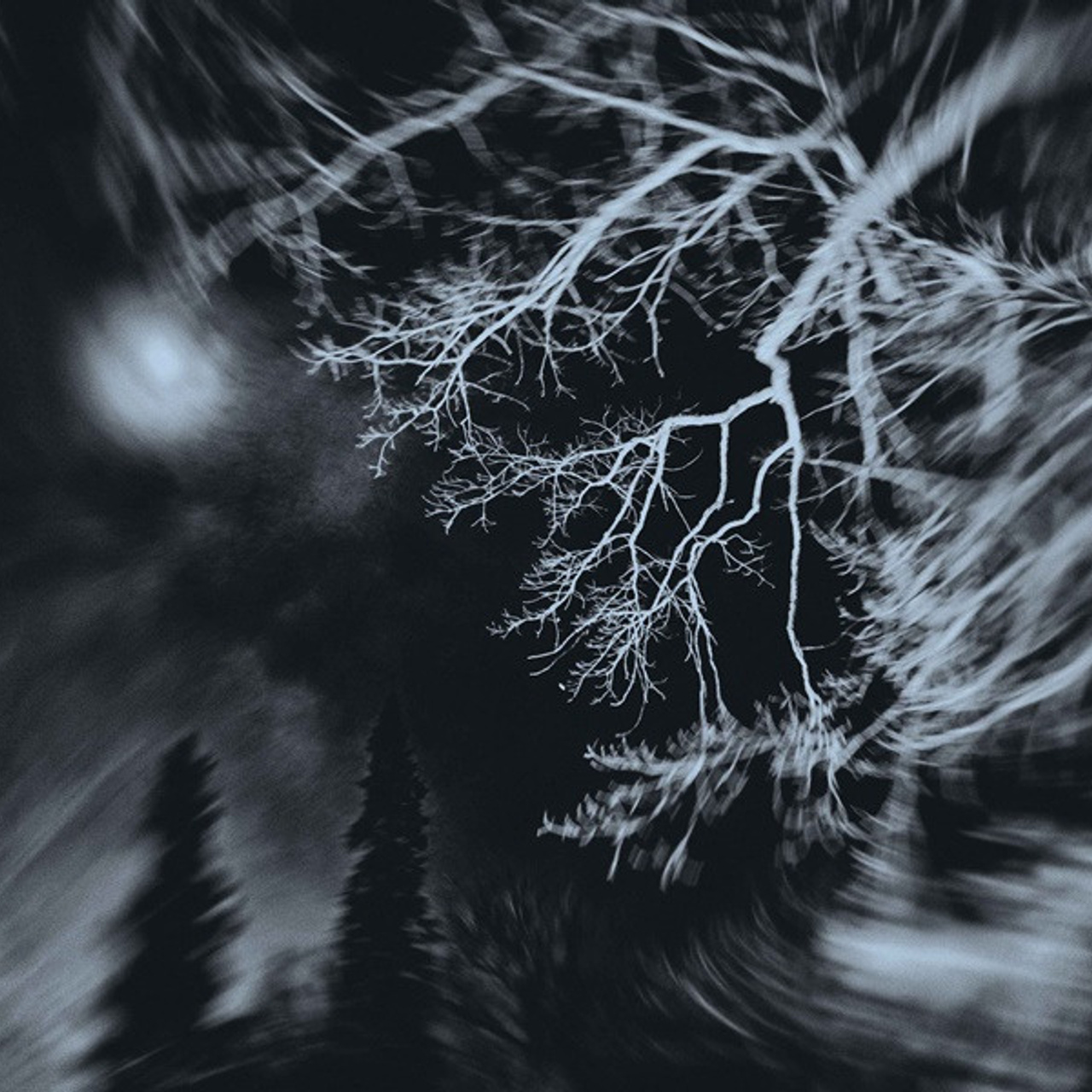 Нинель Соловьева