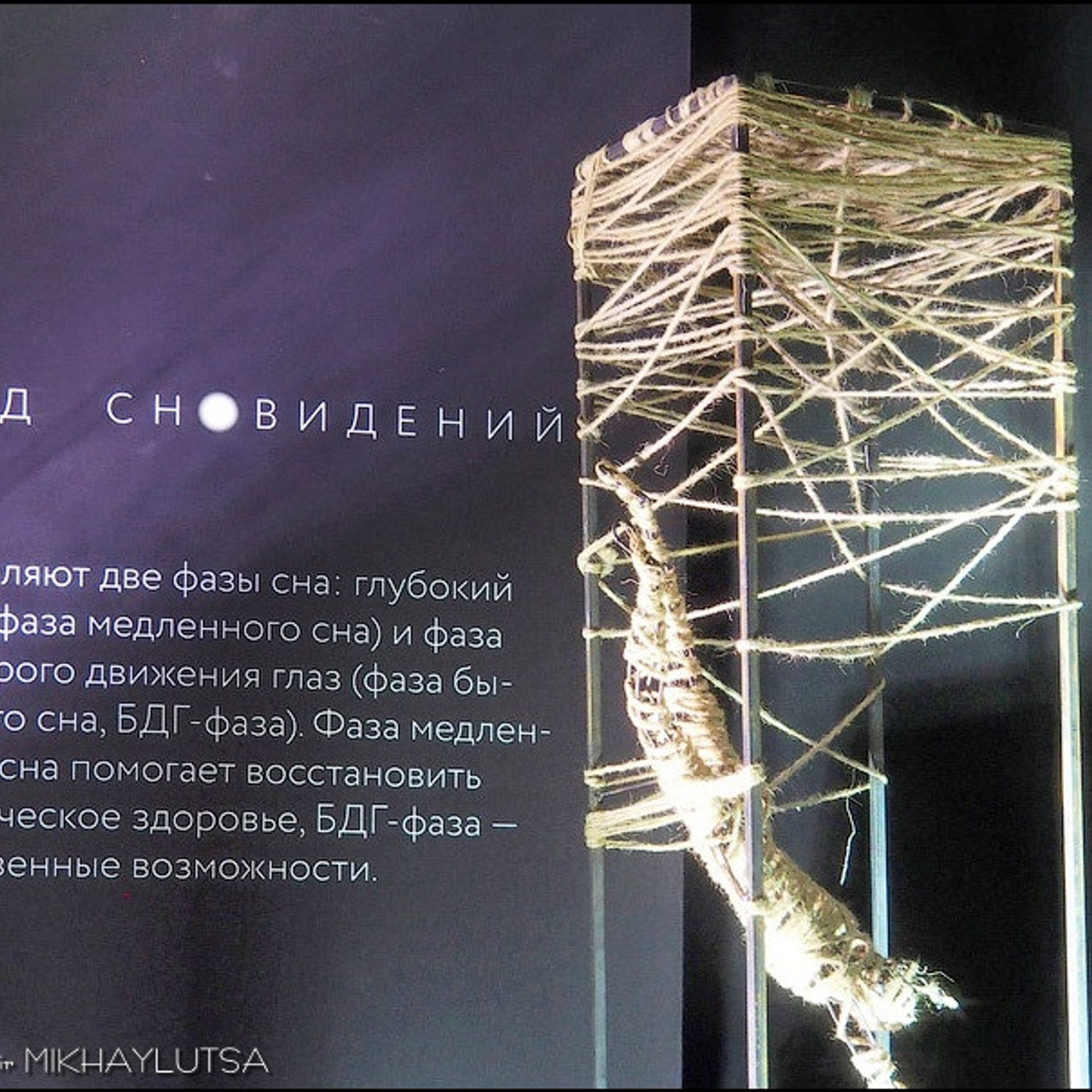 САД СНОВИДЕНИЙ - Люминография - luminografia.ru