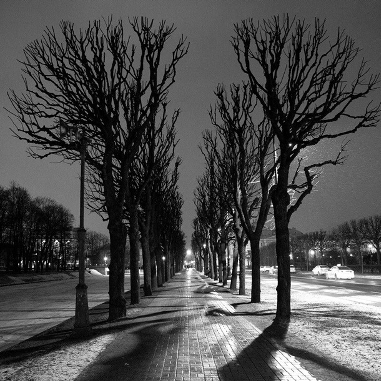 Мария Тяпкова