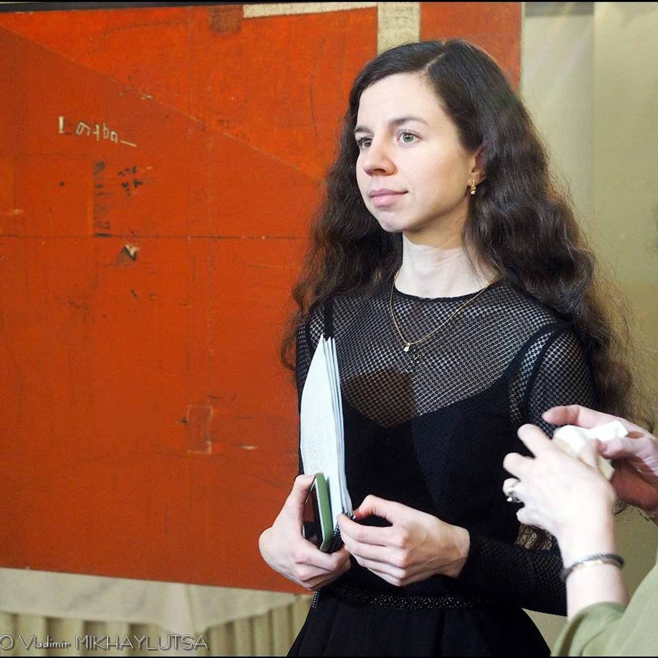 Владимир Духовлинов «Время Вермеера»