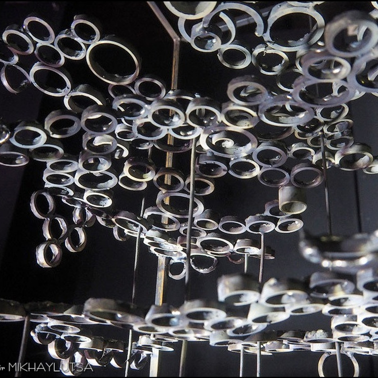 САД СНОВИДЕНИЙ - Люминография - luminografia.ru