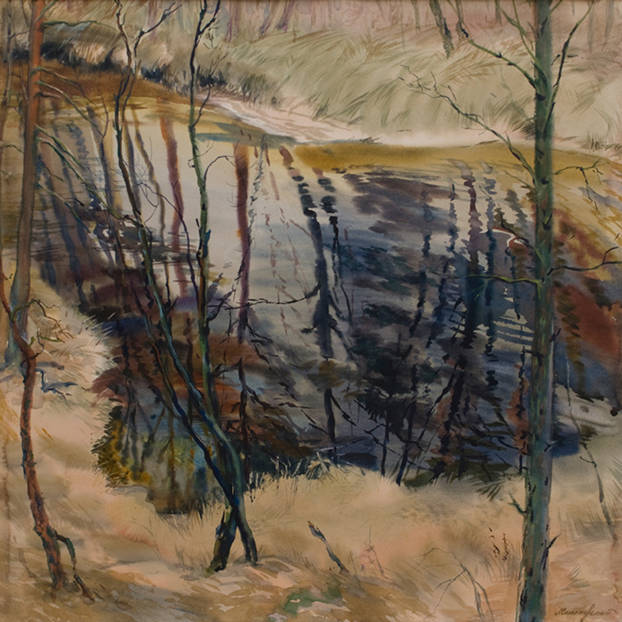 СВЕТЛАЯ СТОРОНА ЗЕМЛИ