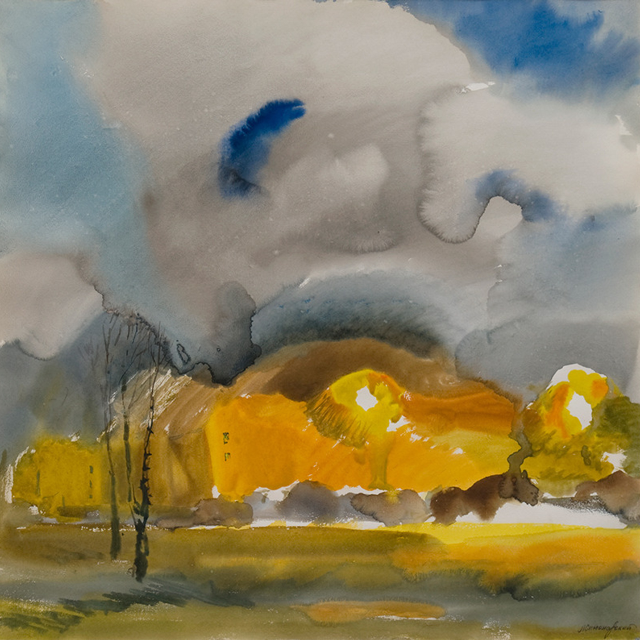 СВЕТЛАЯ СТОРОНА ЗЕМЛИ