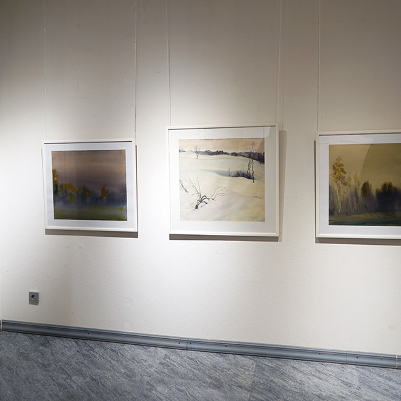 СВЕТЛАЯ СТОРОНА ЗЕМЛИ