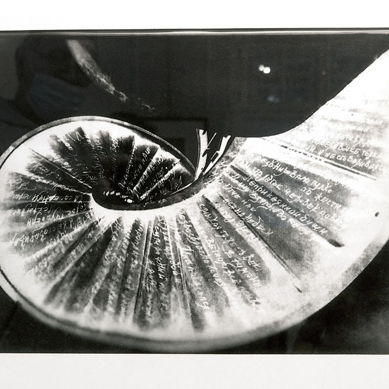 Елена Коваль - Люминография - luminografia.ru