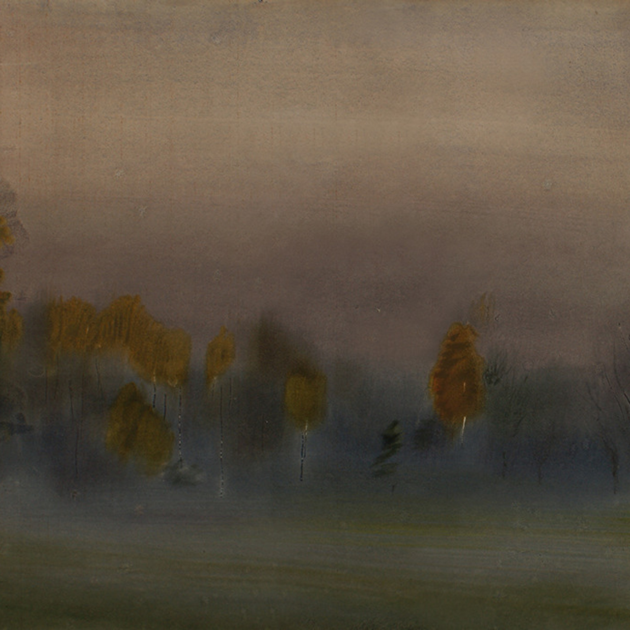 СВЕТЛАЯ СТОРОНА ЗЕМЛИ