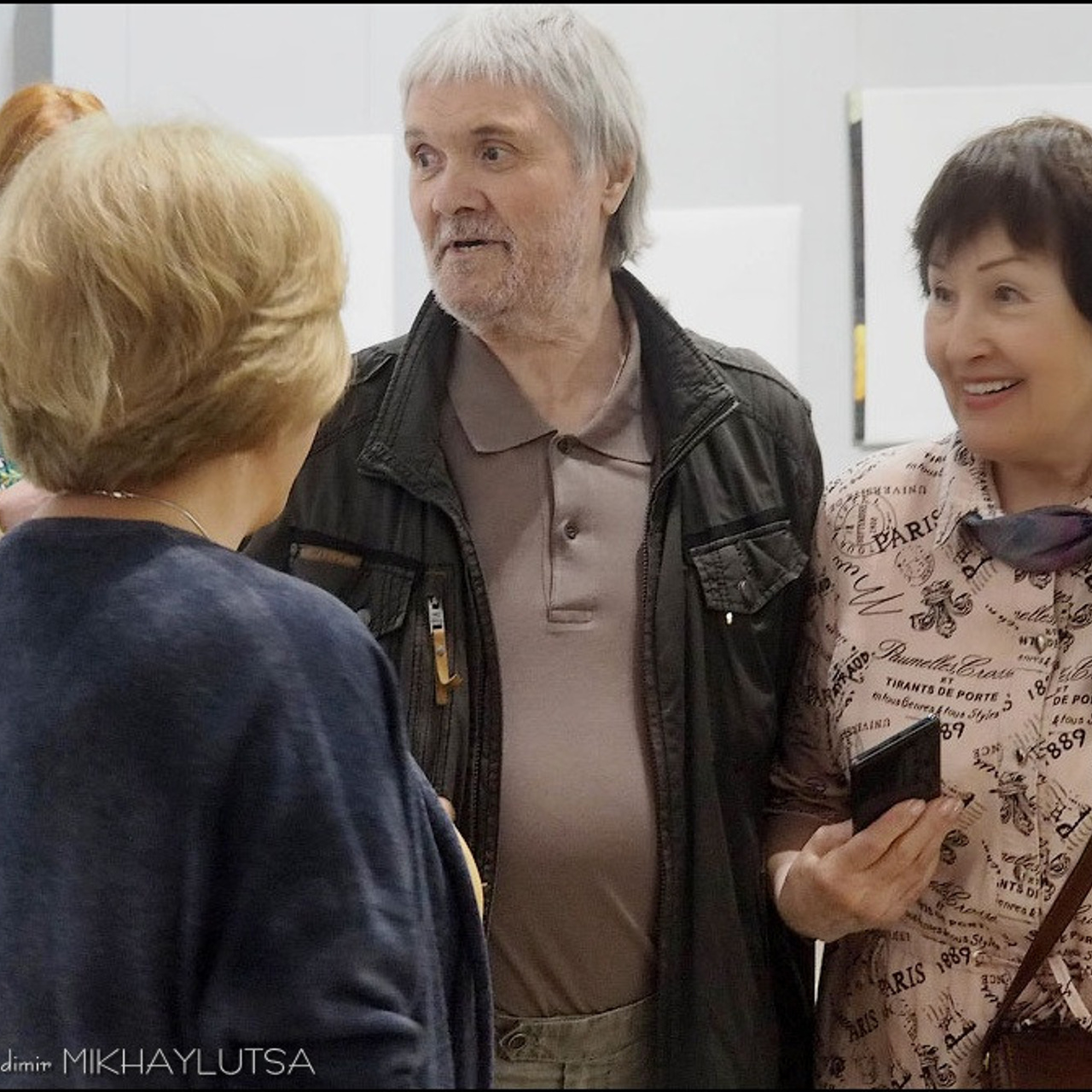 Вячеслав Михайлов «Не подражая природе»