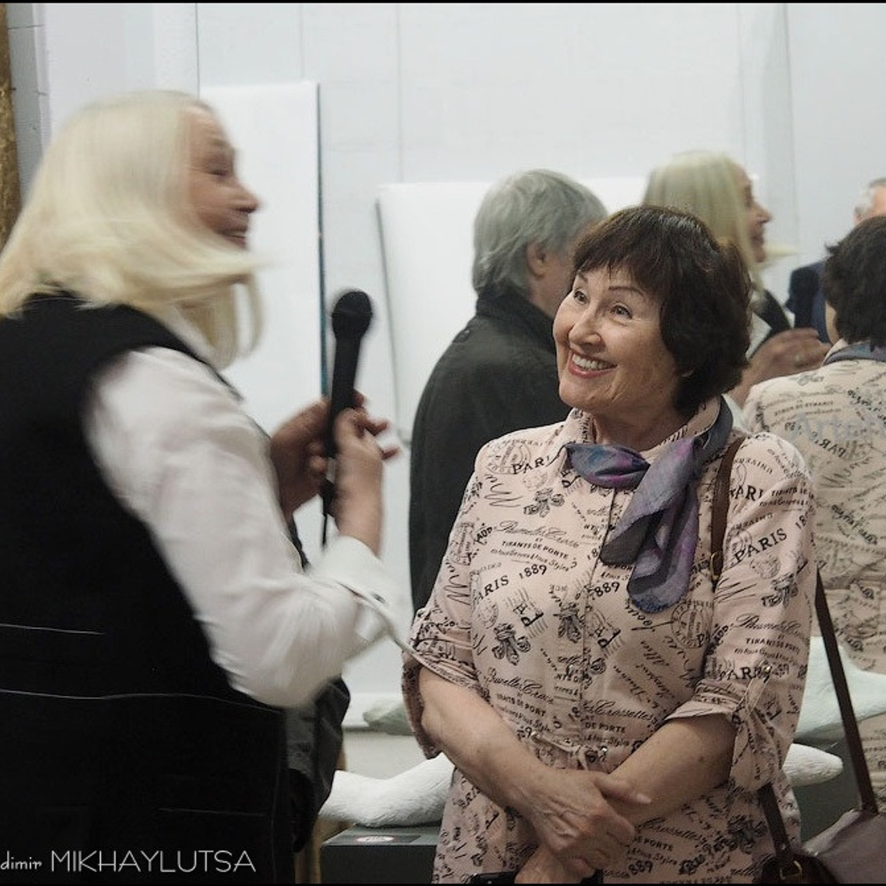 Вячеслав Михайлов «Не подражая природе»