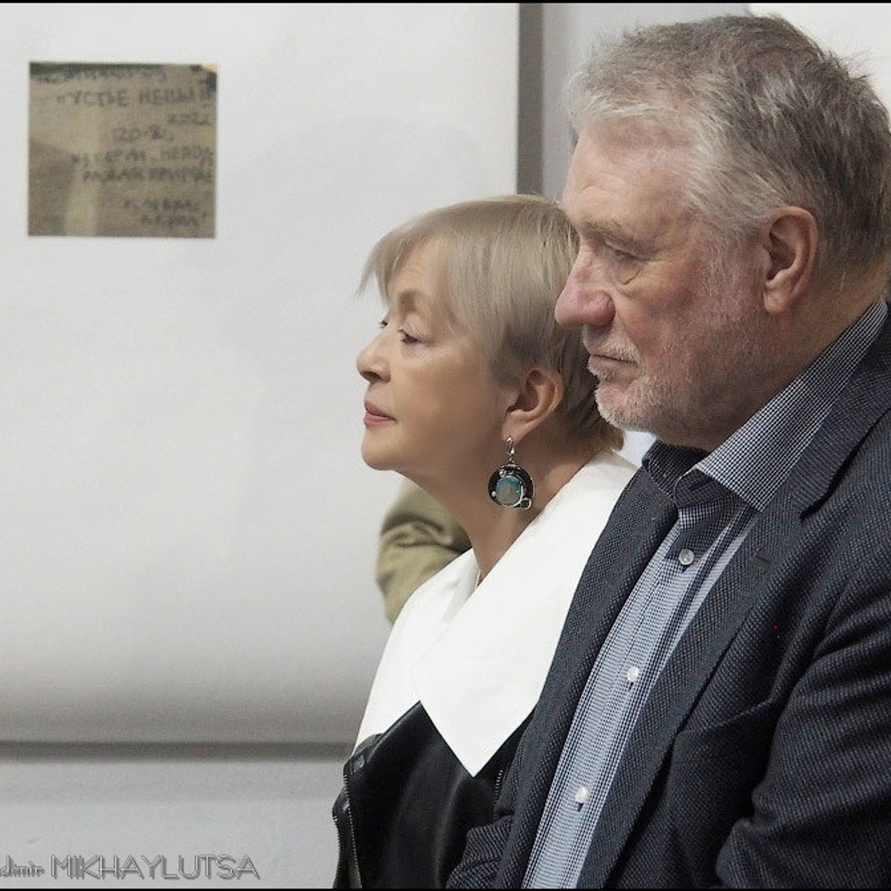 Вячеслав Михайлов «Не подражая природе»