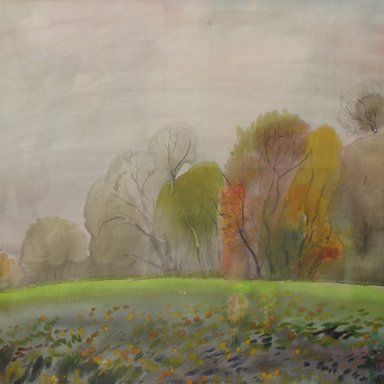 СВЕТЛАЯ СТОРОНА ЗЕМЛИ