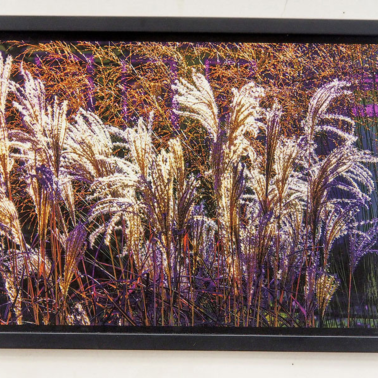 - Люминография - luminografia.ru