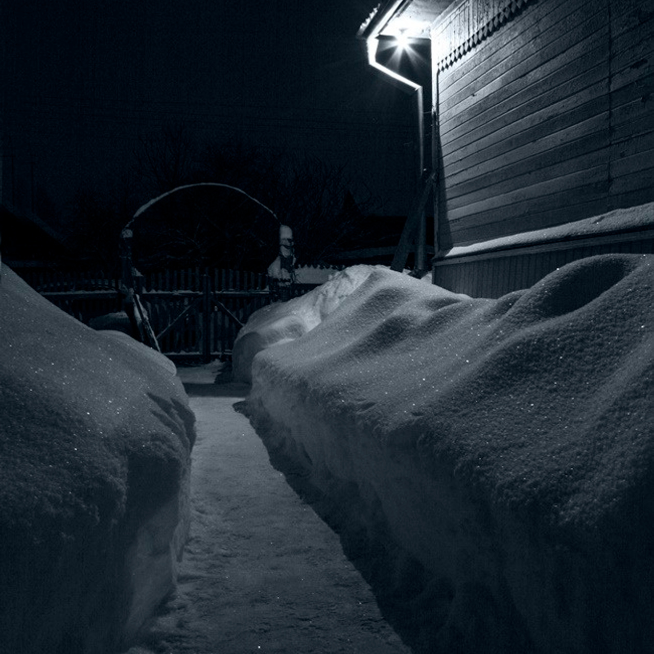 Галина Махина