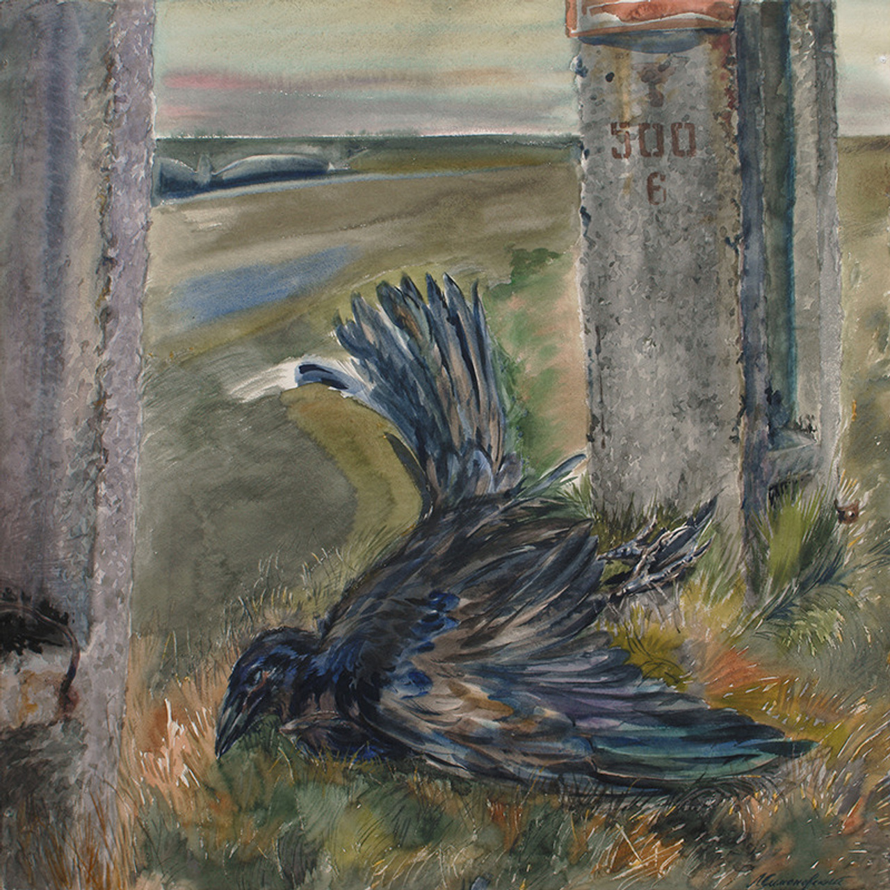 СВЕТЛАЯ СТОРОНА ЗЕМЛИ