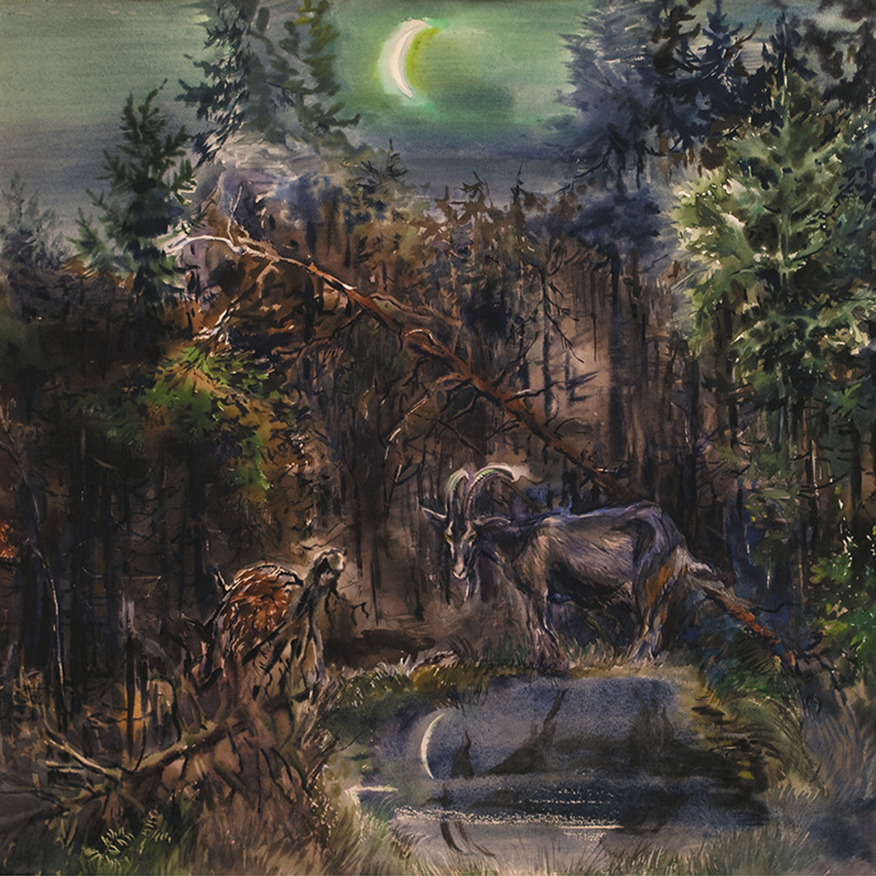 СВЕТЛАЯ СТОРОНА ЗЕМЛИ