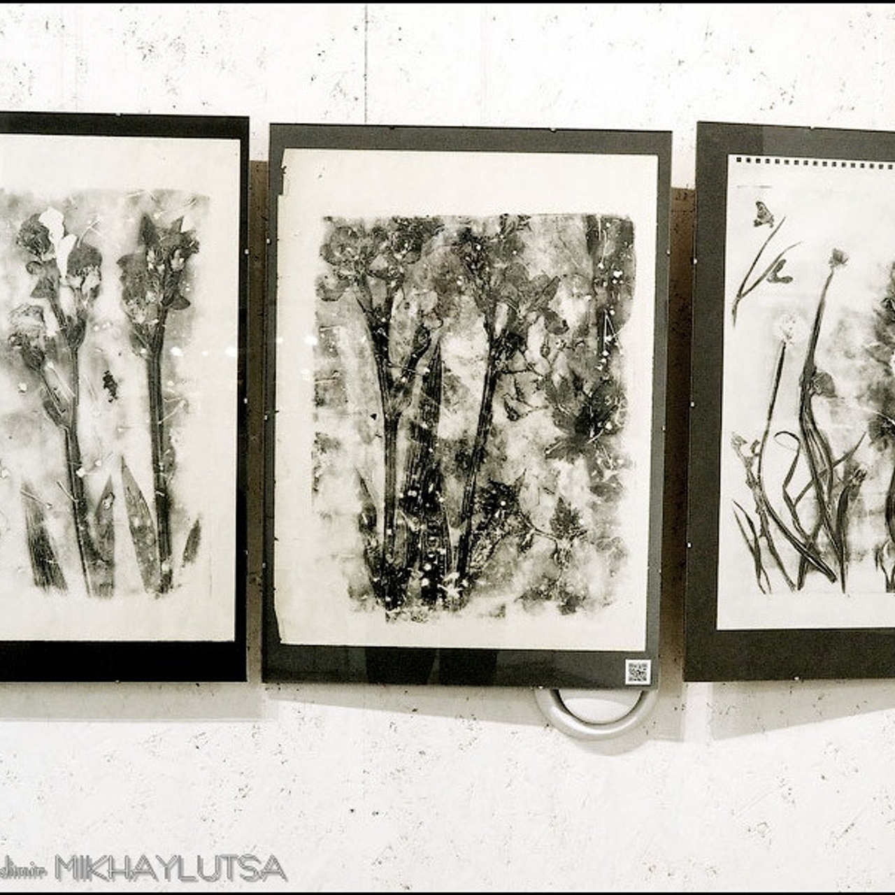 IFA «Летняя практика» - Люминография - luminografia.ru