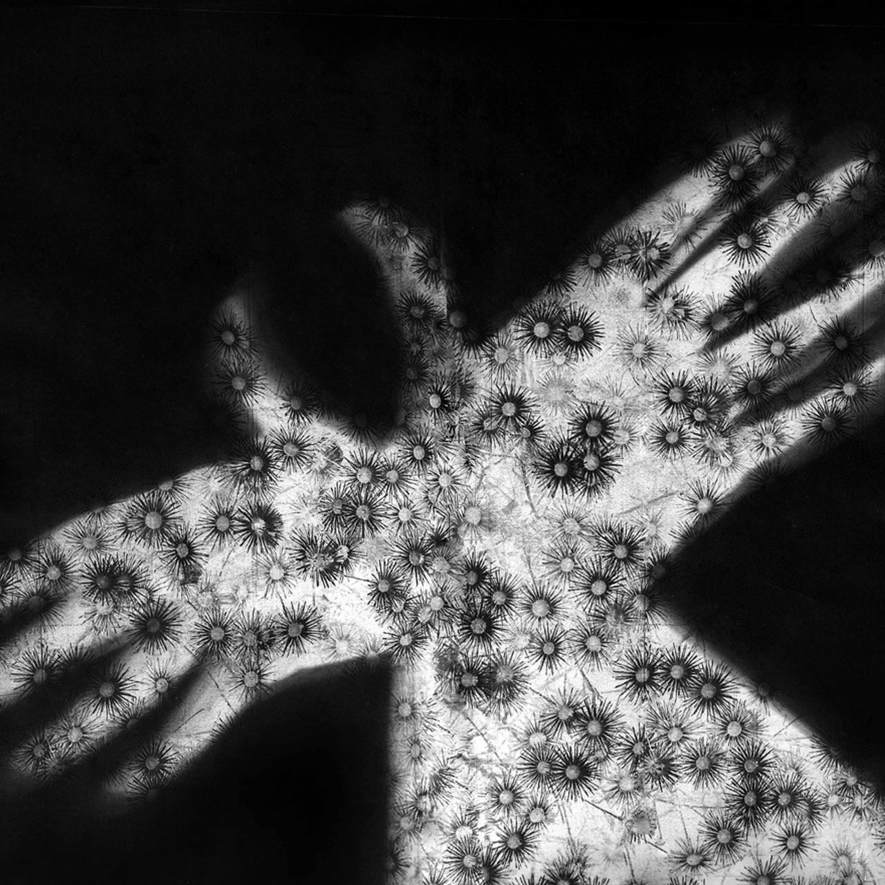 Елена Коваль - Люминография - luminografia.ru