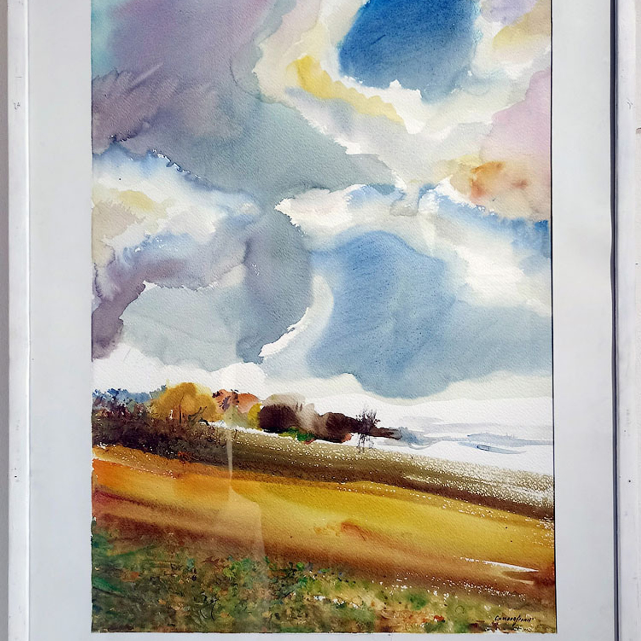 СВЕТЛАЯ СТОРОНА ЗЕМЛИ