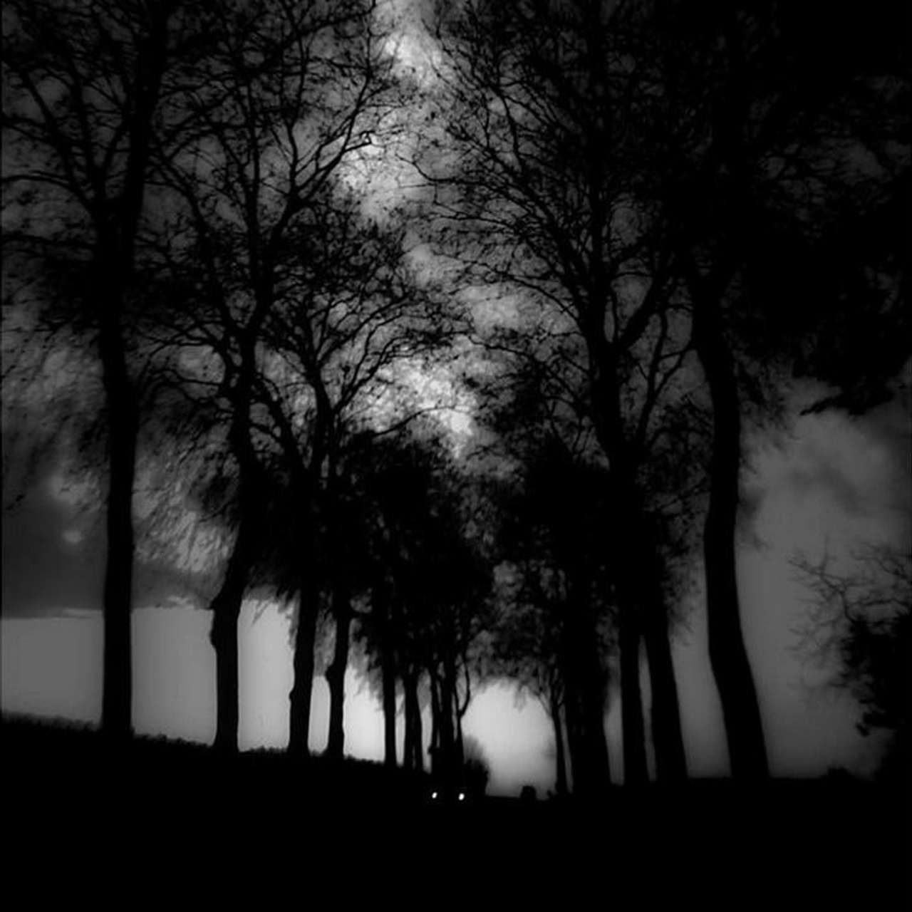 Эва Палчинска-Эрард