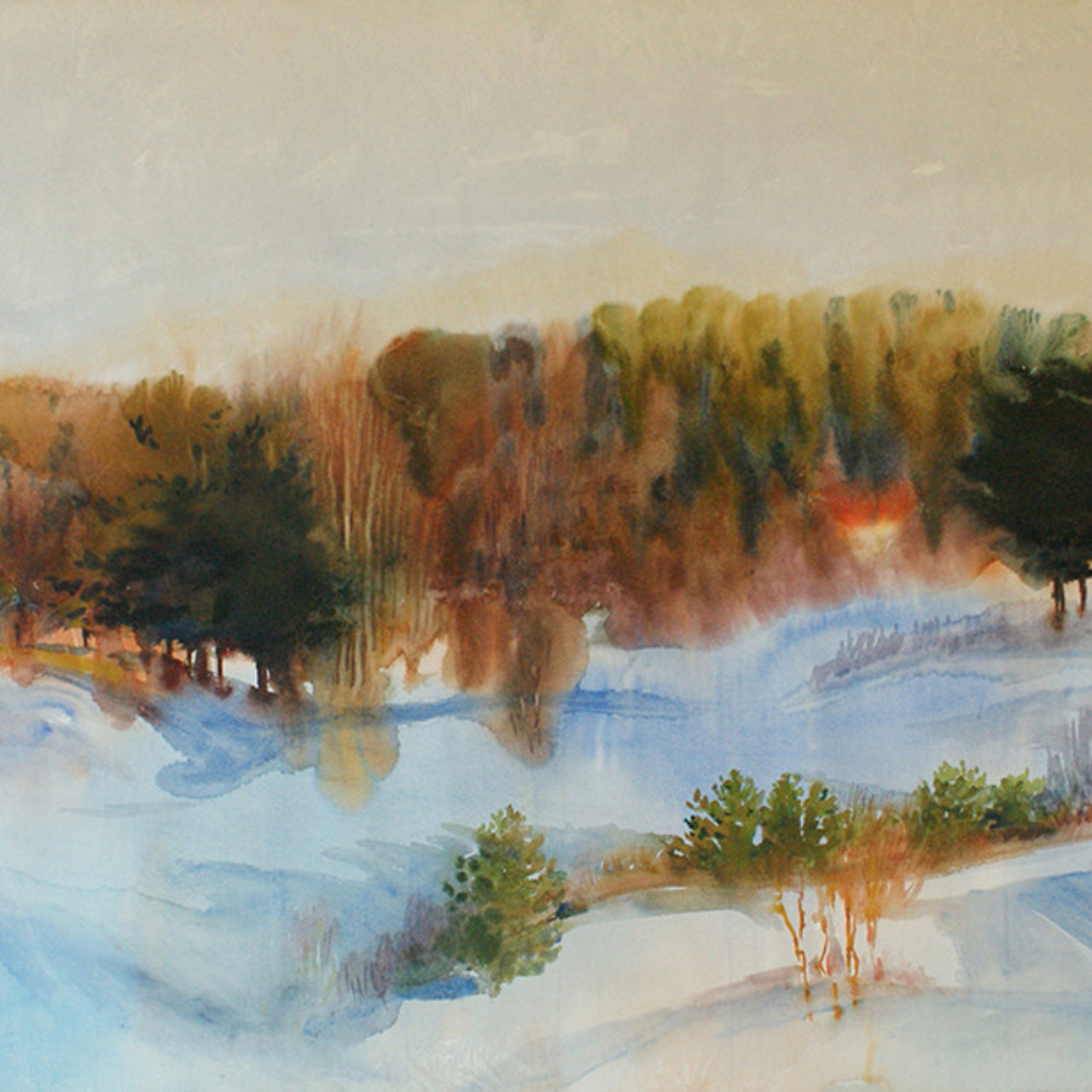 СВЕТЛАЯ СТОРОНА ЗЕМЛИ