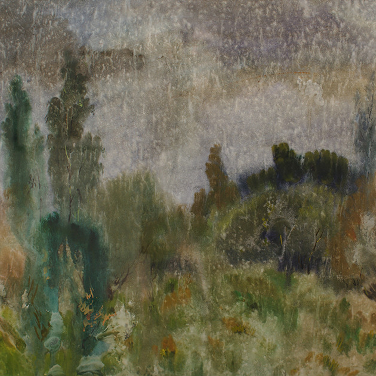 СВЕТЛАЯ СТОРОНА ЗЕМЛИ