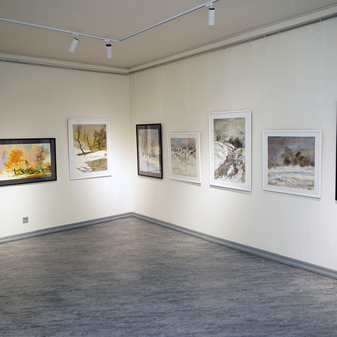 СВЕТЛАЯ СТОРОНА ЗЕМЛИ