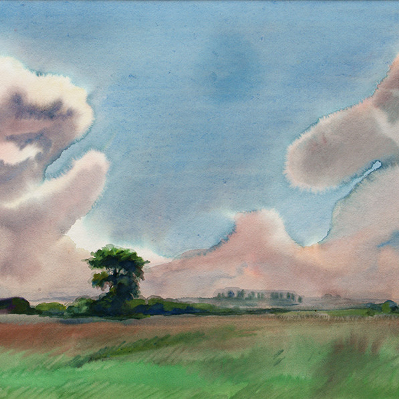 СВЕТЛАЯ СТОРОНА ЗЕМЛИ