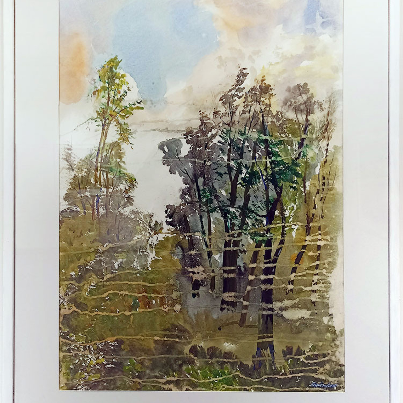 СВЕТЛАЯ СТОРОНА ЗЕМЛИ