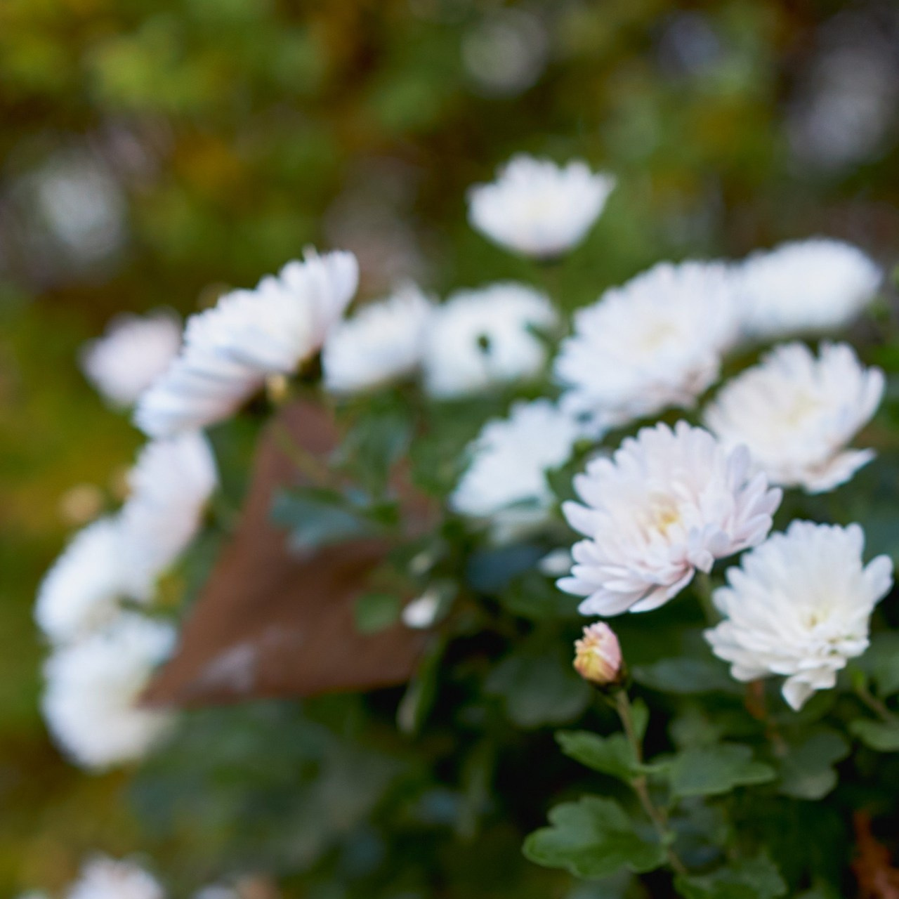 Отзывы. Фотограф в городе Ростов-на-Дону Лариса Черных