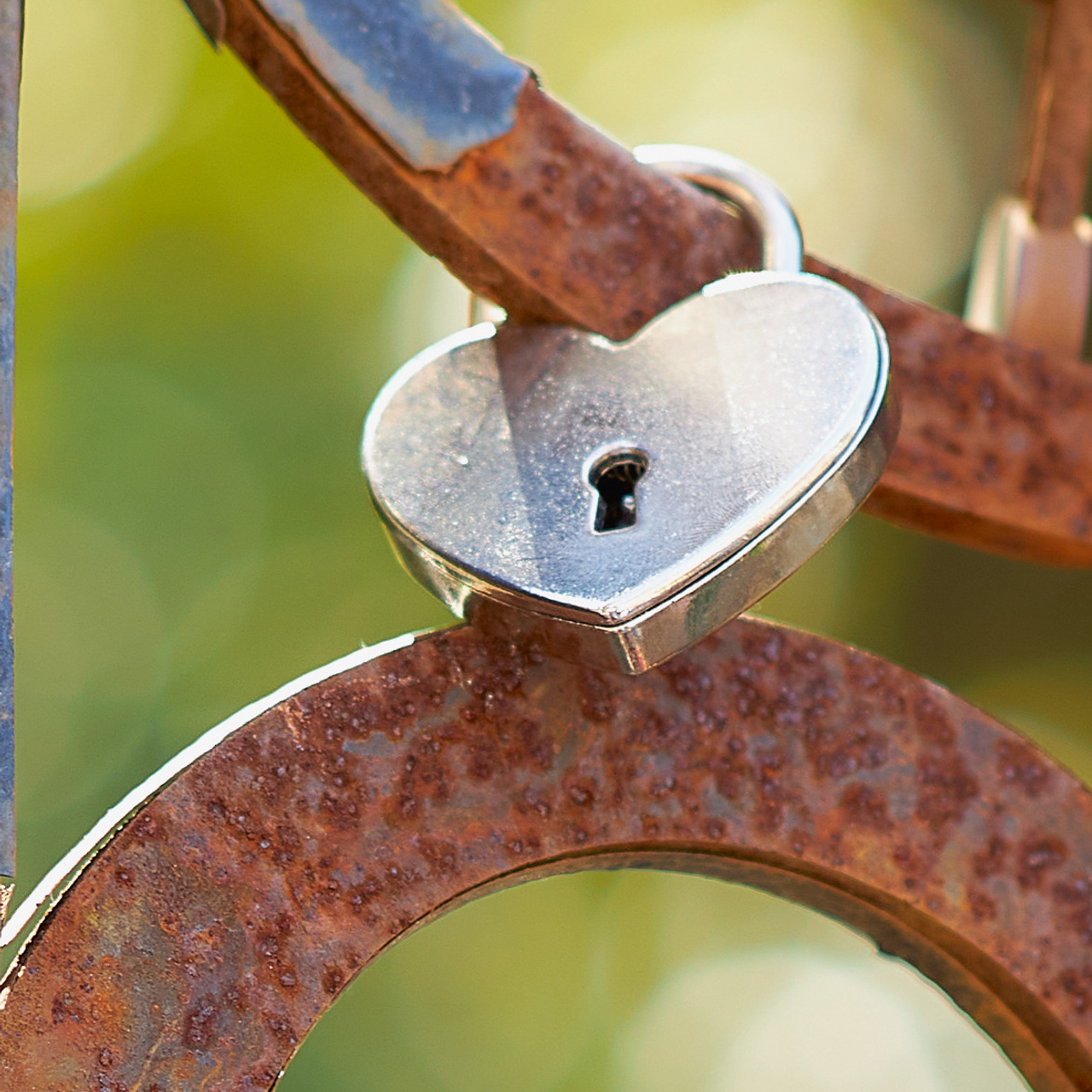Отзывы. Фотограф в городе Ростов-на-Дону Лариса Черных
