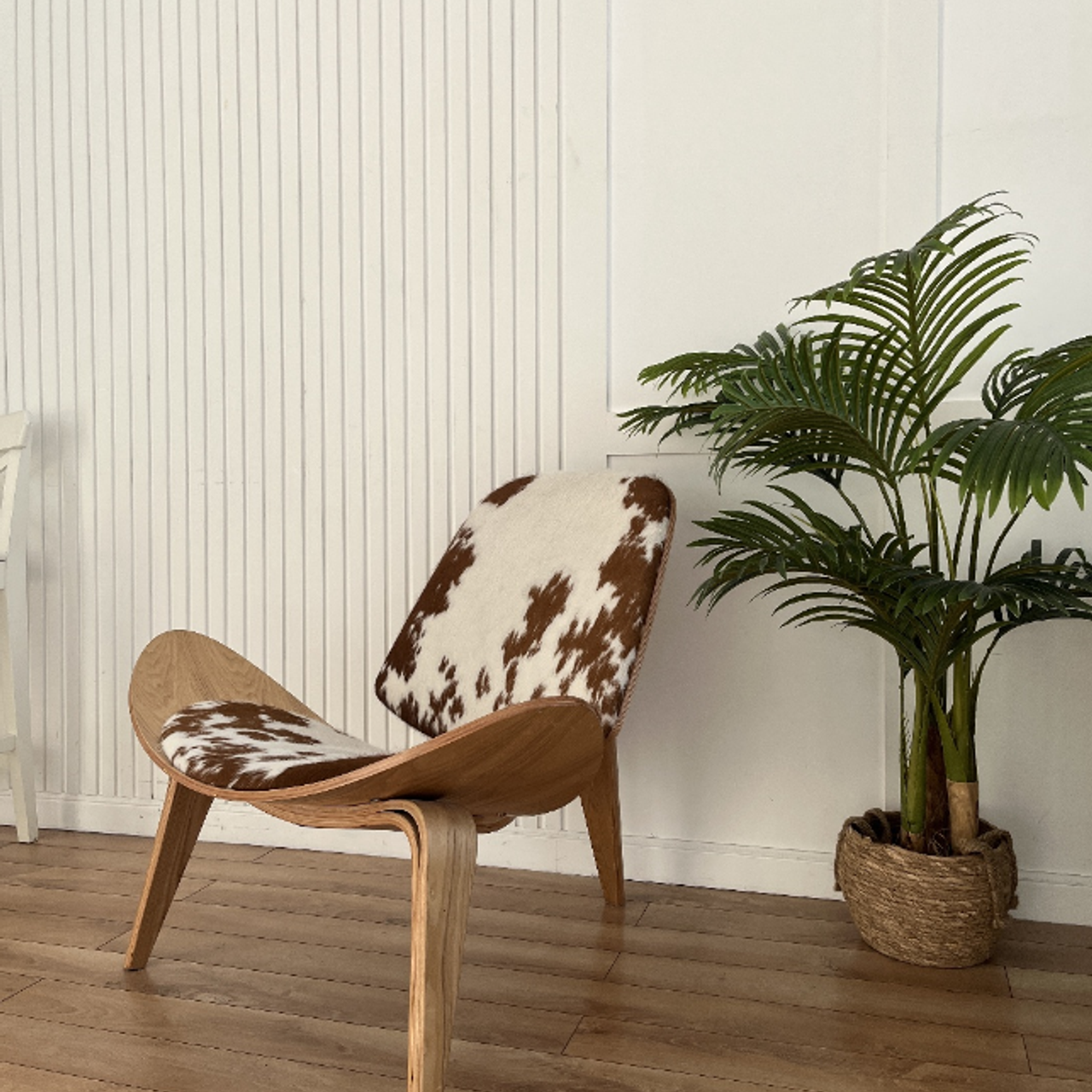 Циклорама (студия Ван Рум)