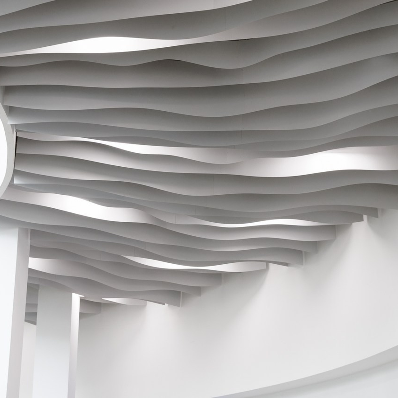 Отзывы. Профессиональный фотограф Амир Закиров