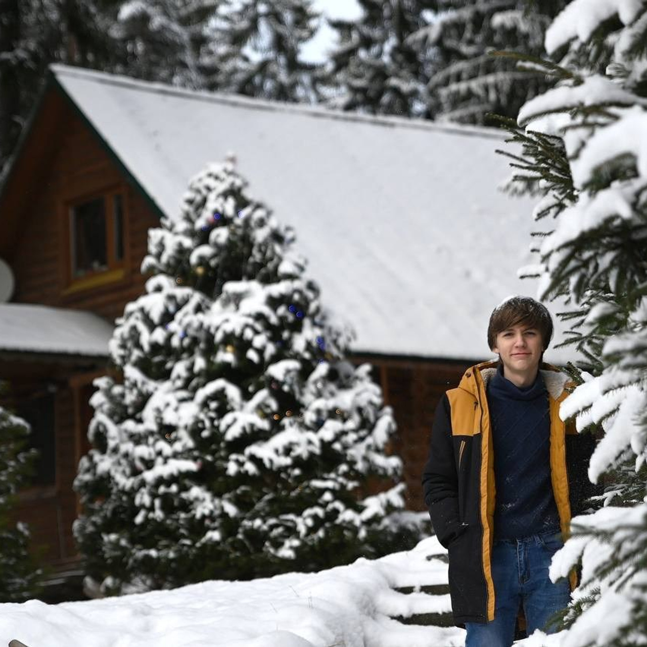 серии: «snow»