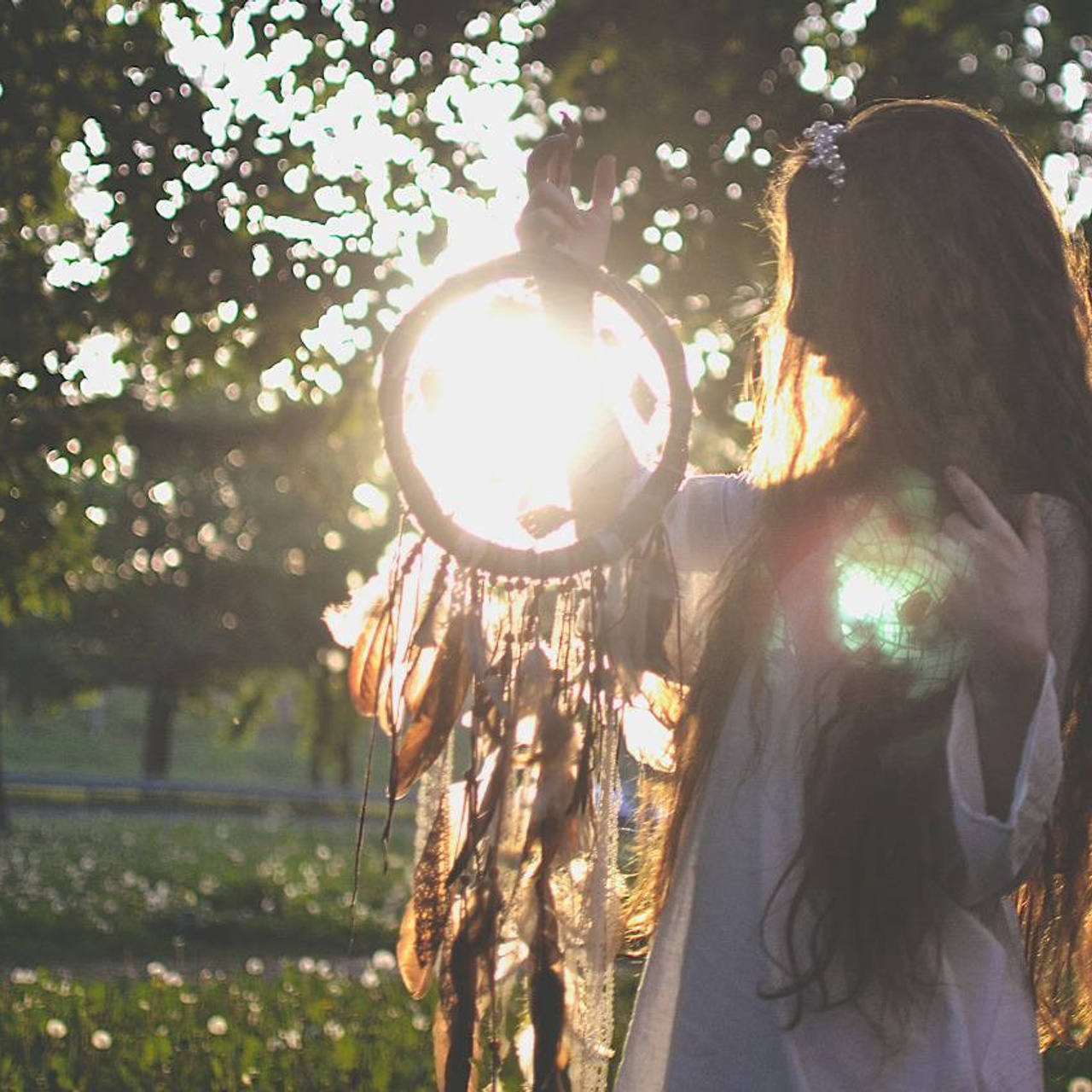 серии: «dreamcatcher»