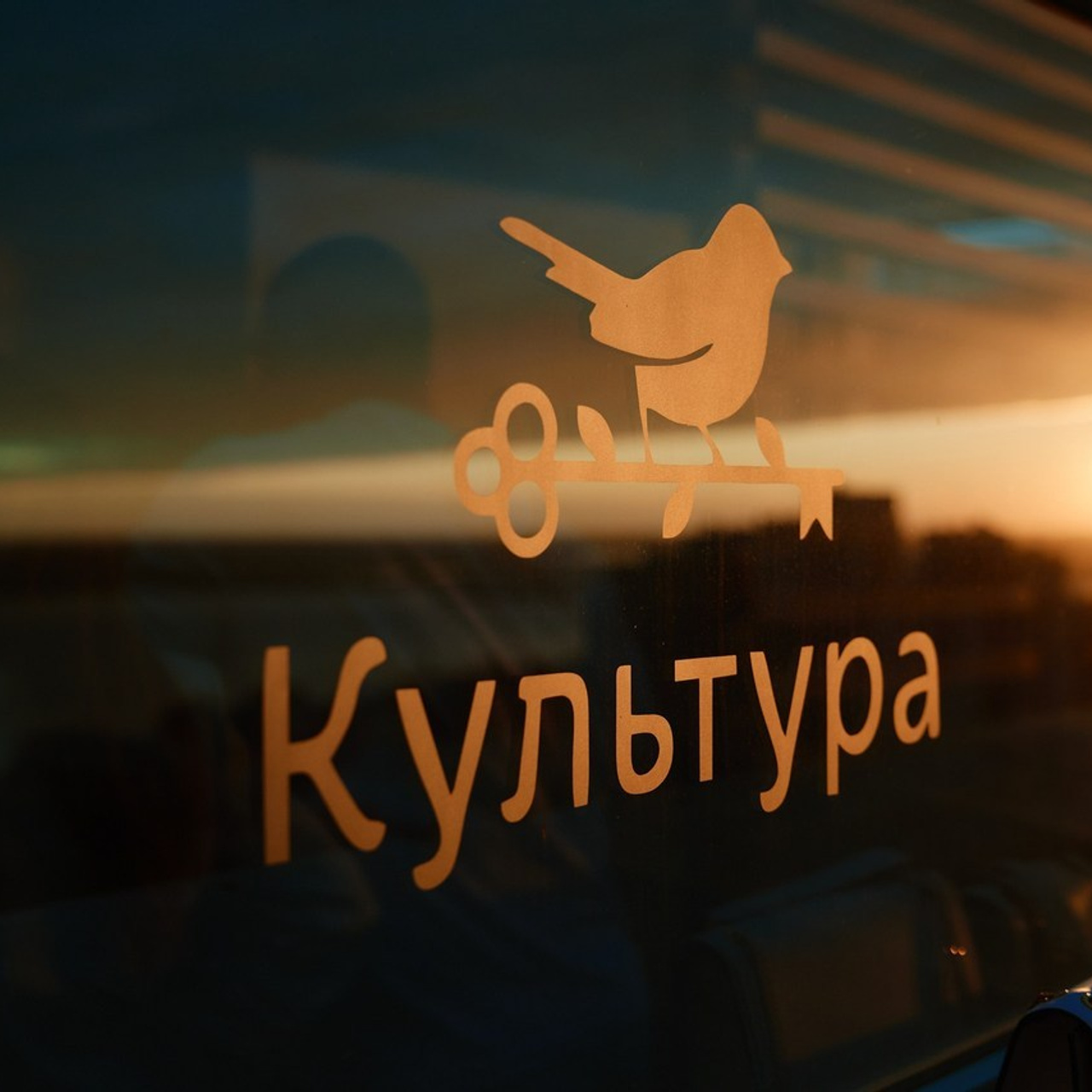 Отзывы. Репортажный фотограф в Хабаровске Николай Соболев