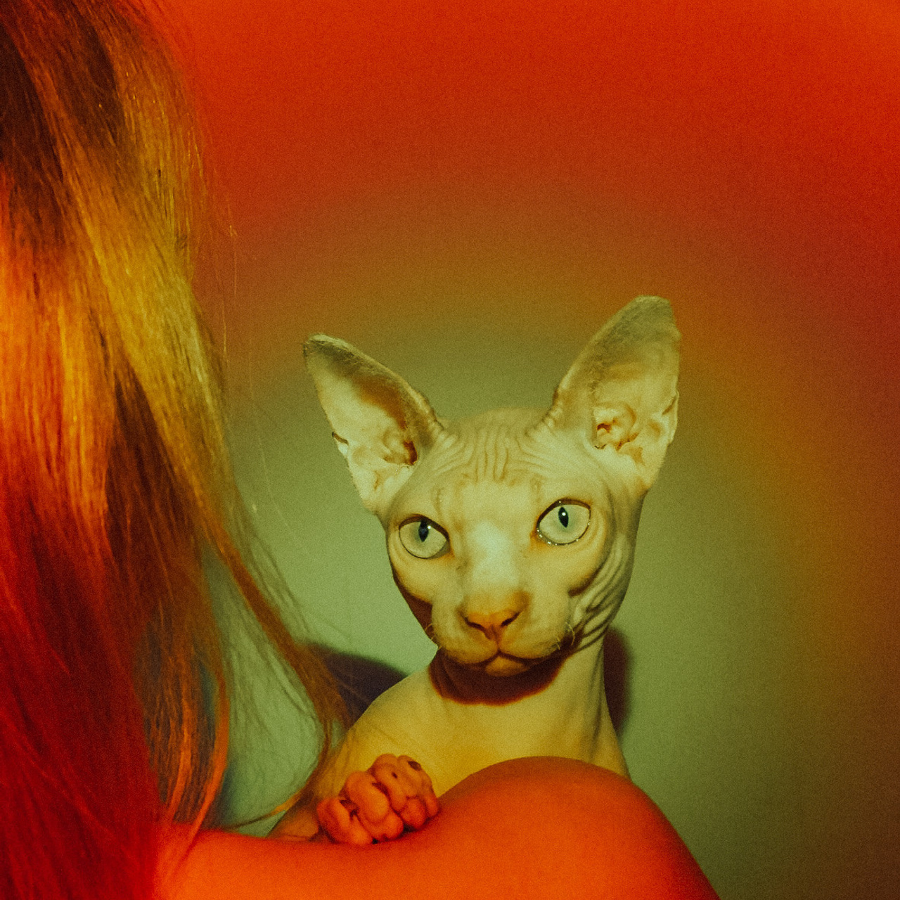 вечера на хуторе.