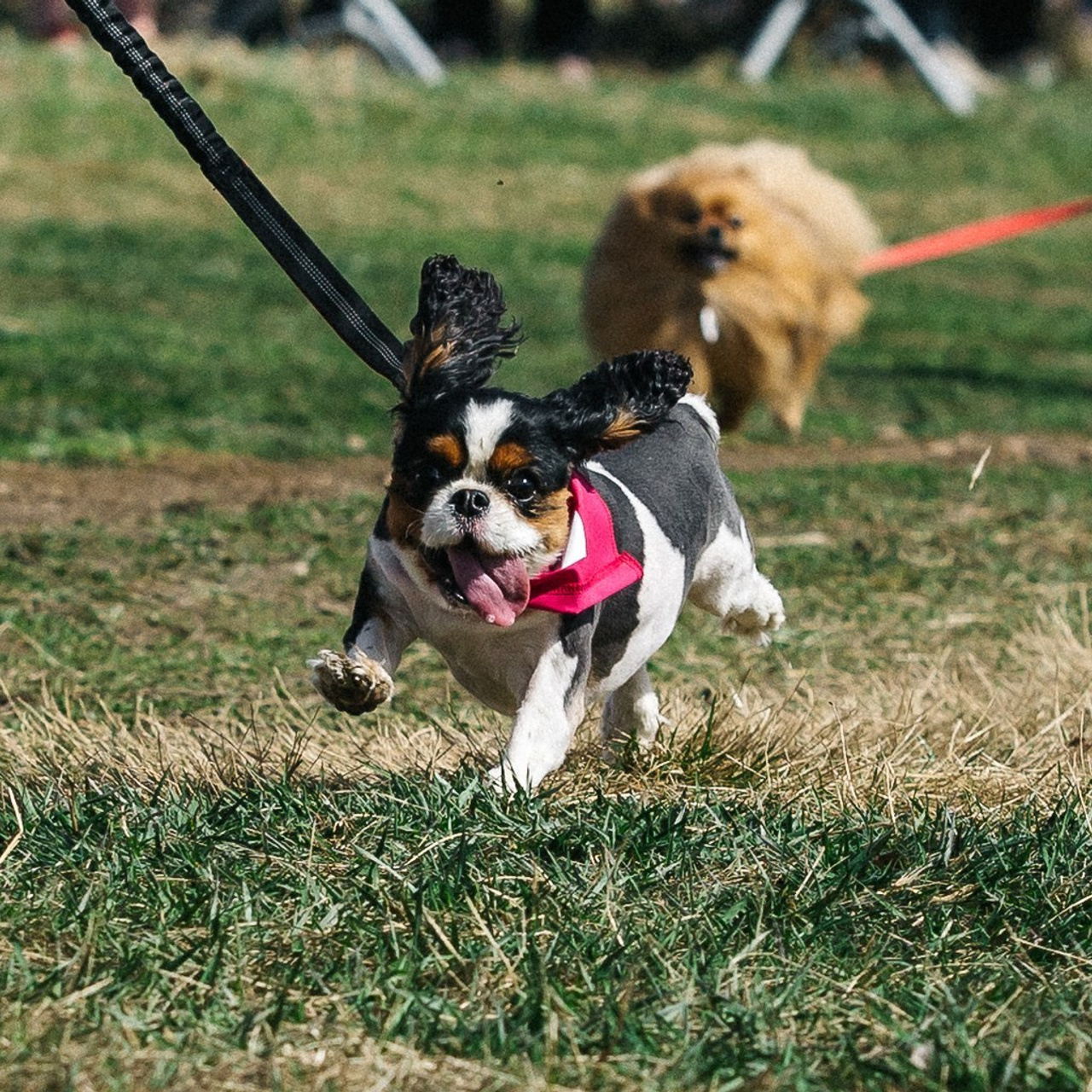 Отзывы. Репортажный фотограф в Москве