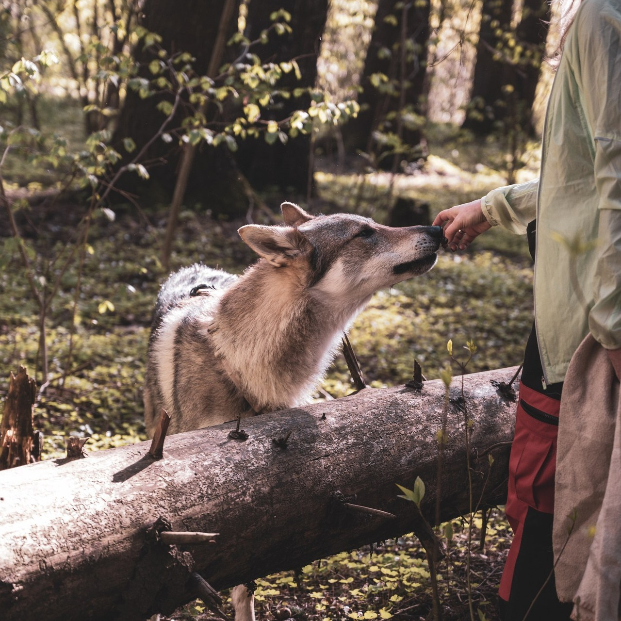 Отзывы. Фотограф Мария