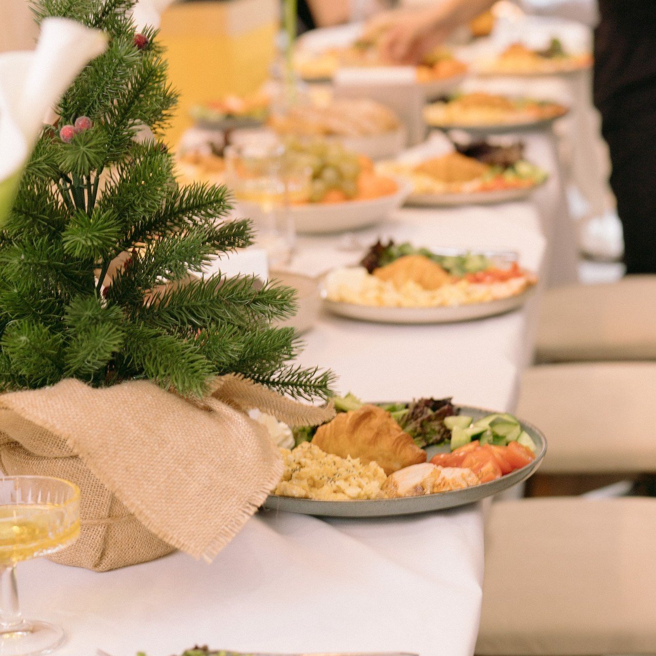 Отзывы. Фотограф Алматы, курс по Фотографии в Алматы. Дмитриева Наталья